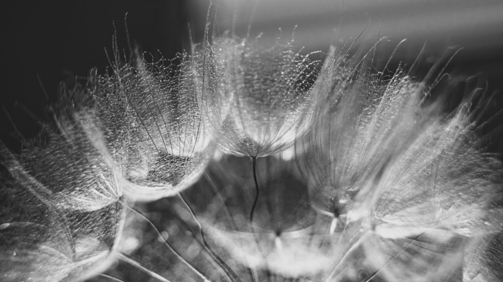 Photograph by Наталья Максимова