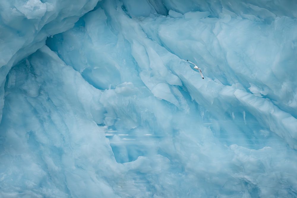 Photograph by Shobhit chawla