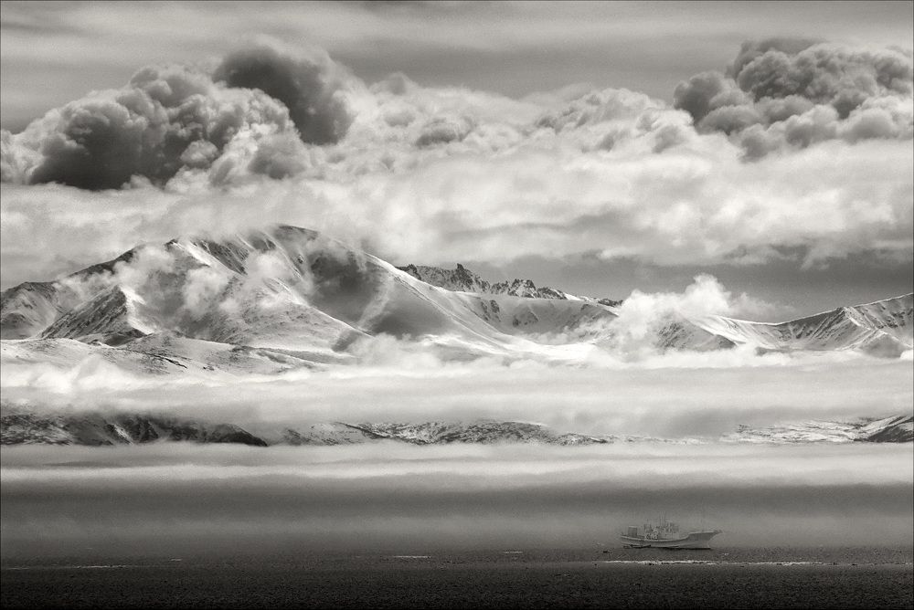 Фотография автора Светлана Гореликова