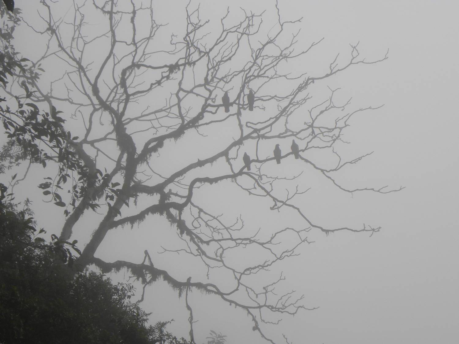 Photo #11501318