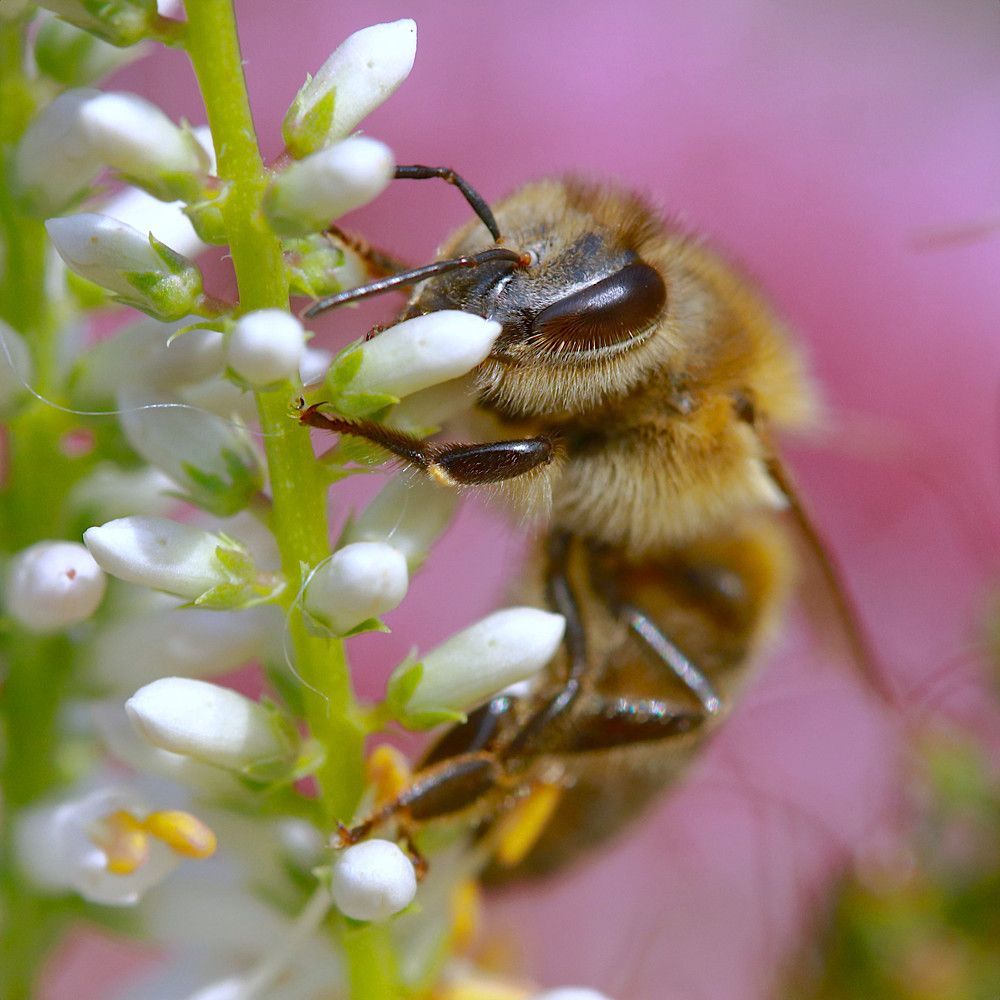 Photograph by Гагик Саркисян