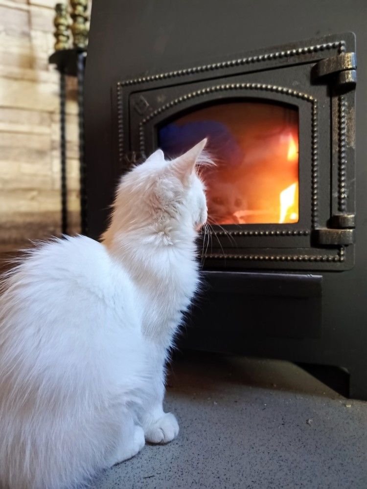 Photograph by Анна