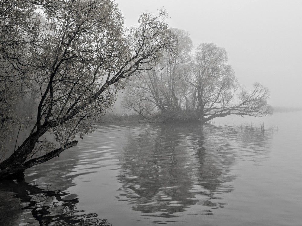 Photograph by Анна