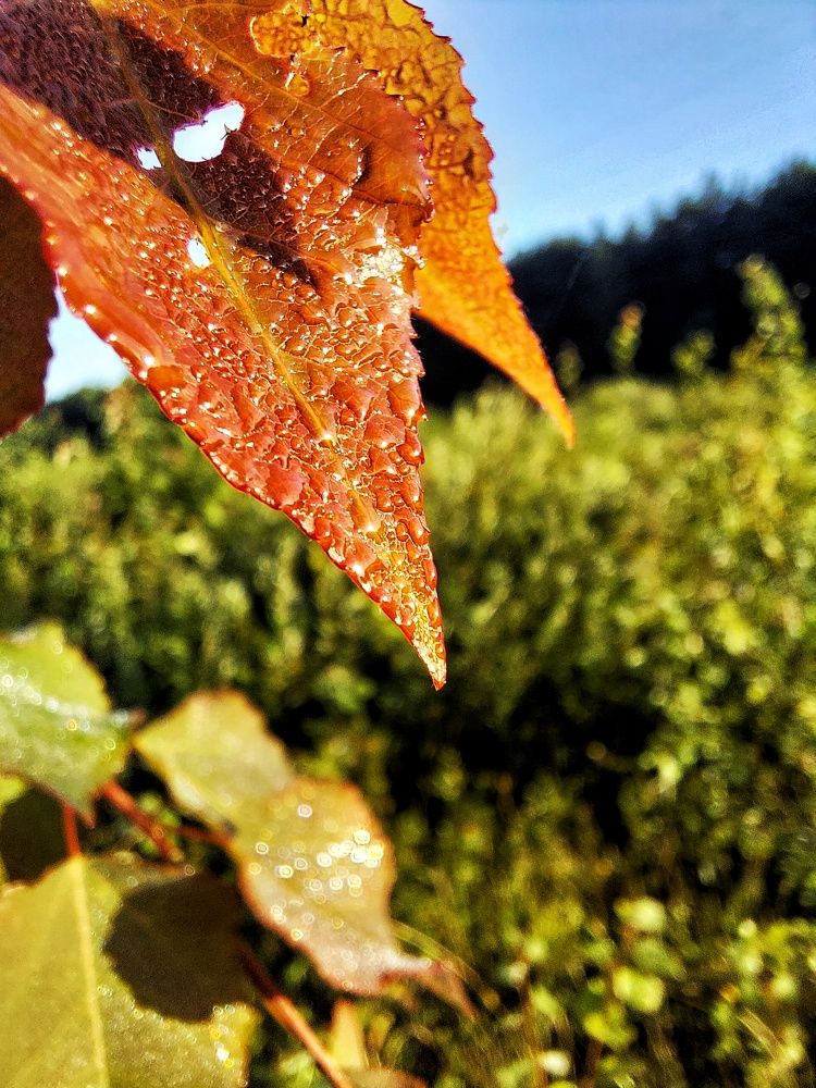 Photograph by Ксения Цветкова