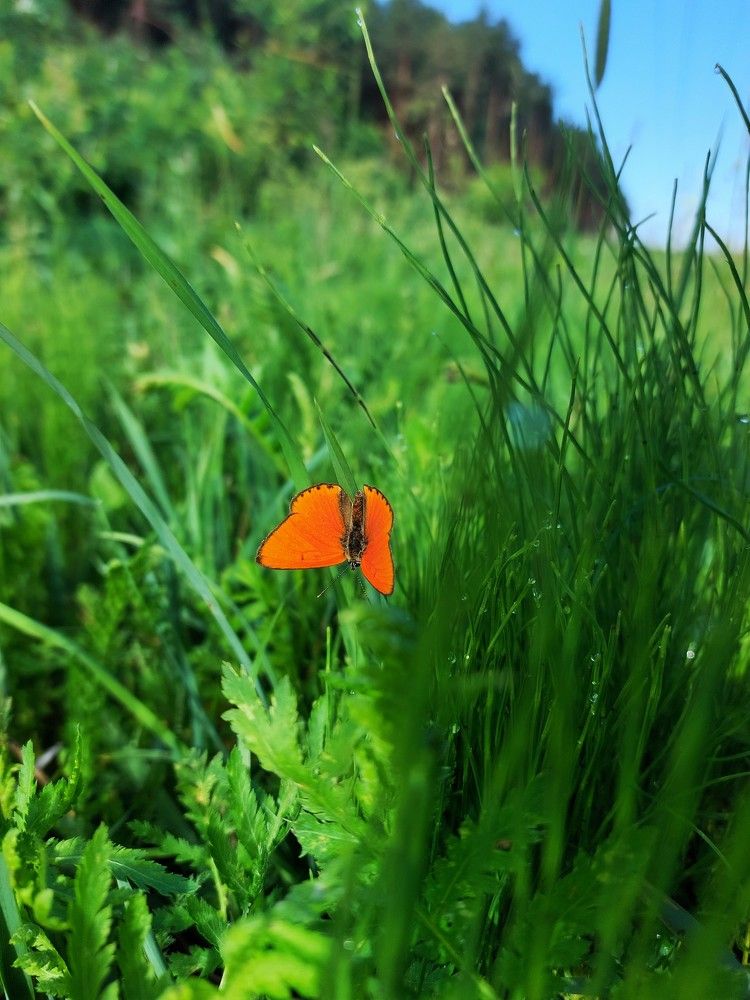 Photograph by Ксения Цветкова