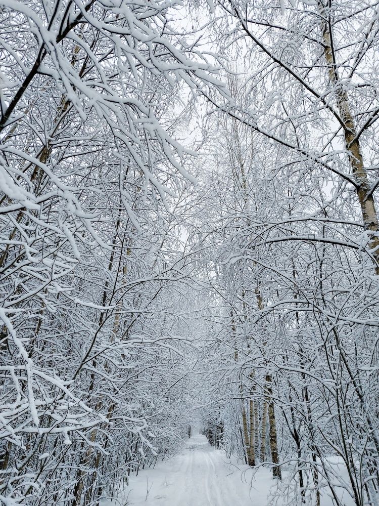 Photograph by Ксения Цветкова