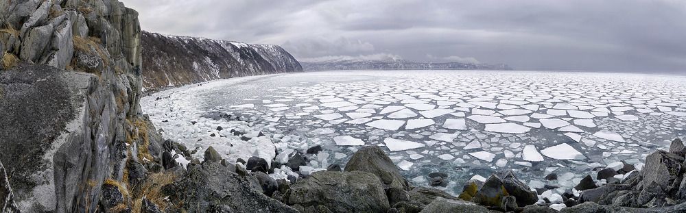 Photograph by Светлана Гореликова