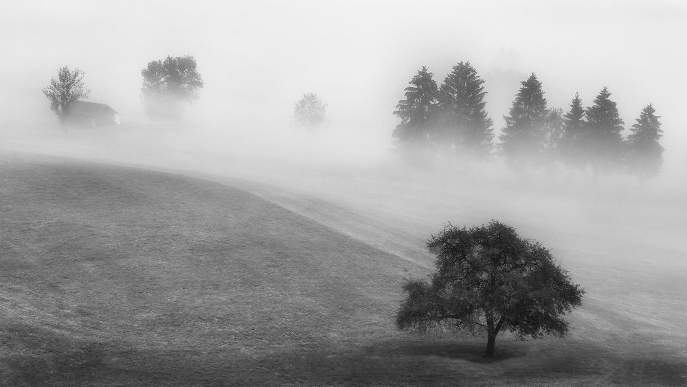 Photograph by Галина Хвостенко