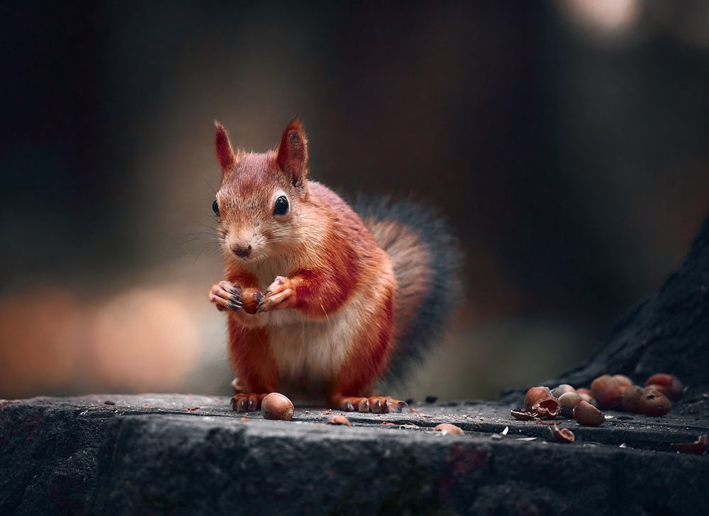 Photograph by Mikhail Khmelevskiy