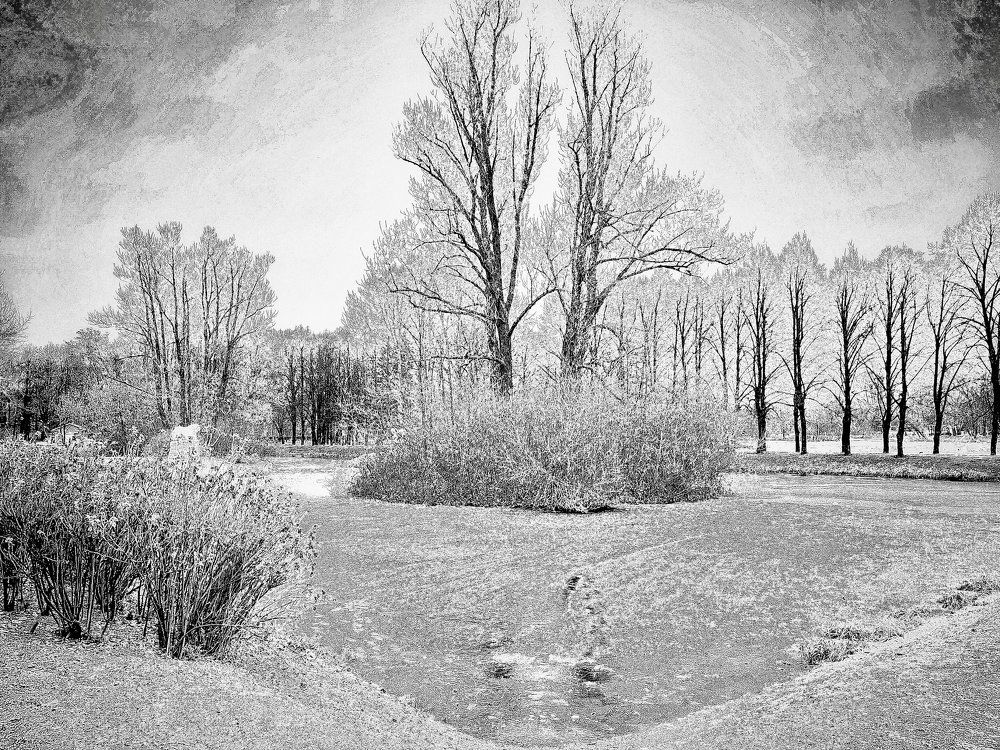 Photograph by Титаренко Людмила