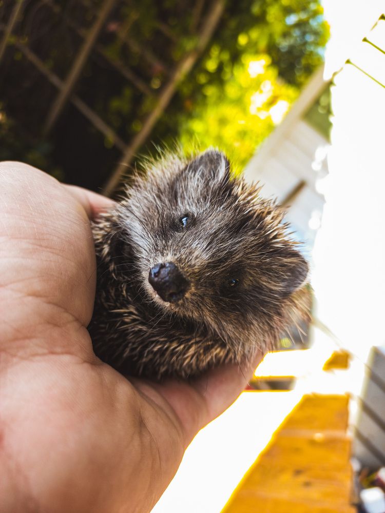 Photograph by Карманов Сергей