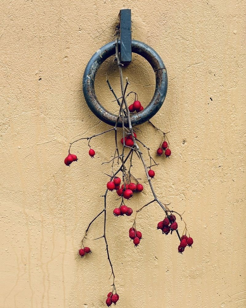 Photograph by Титаренко Людмила