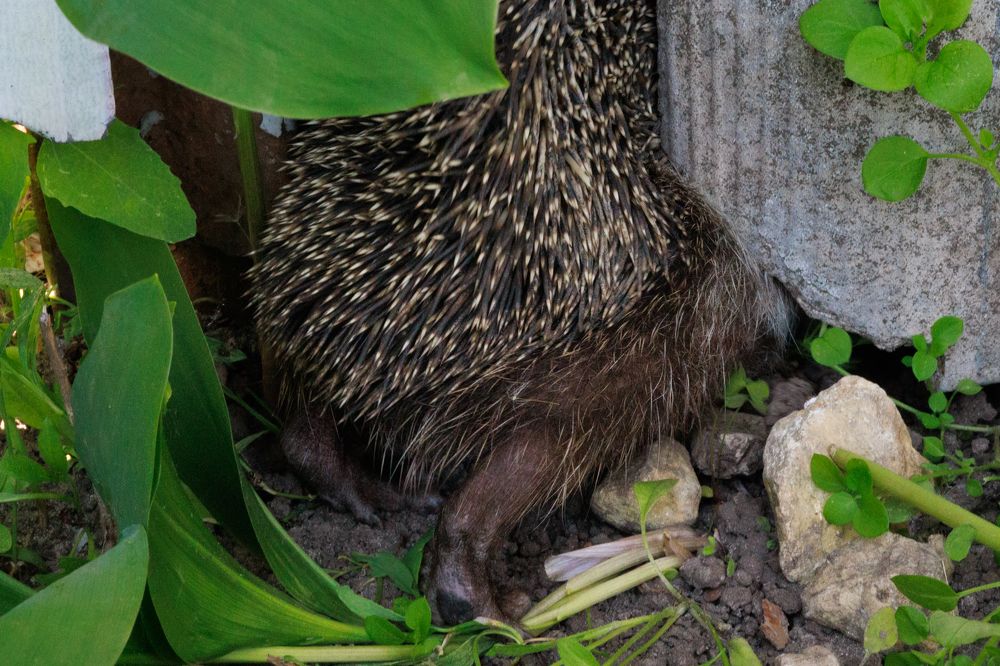 Photograph by Anastasia Sokolskya