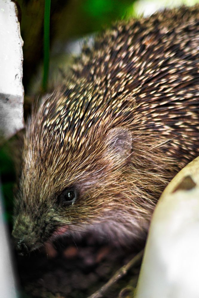 Photograph by Anastasia Sokolskya