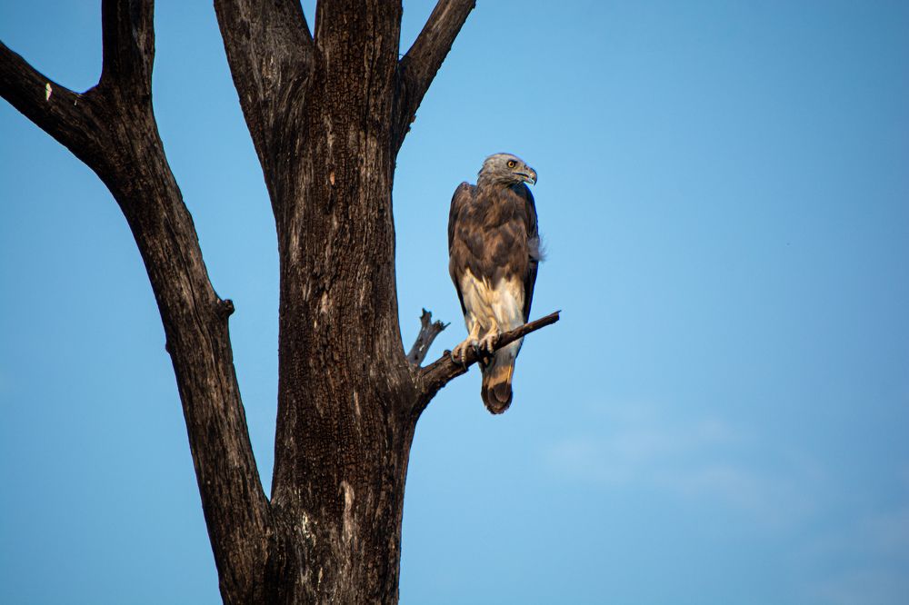 Photograph by Sagar Suraj Meshram