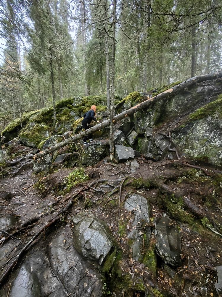 Photograph by Светлана Зыкова