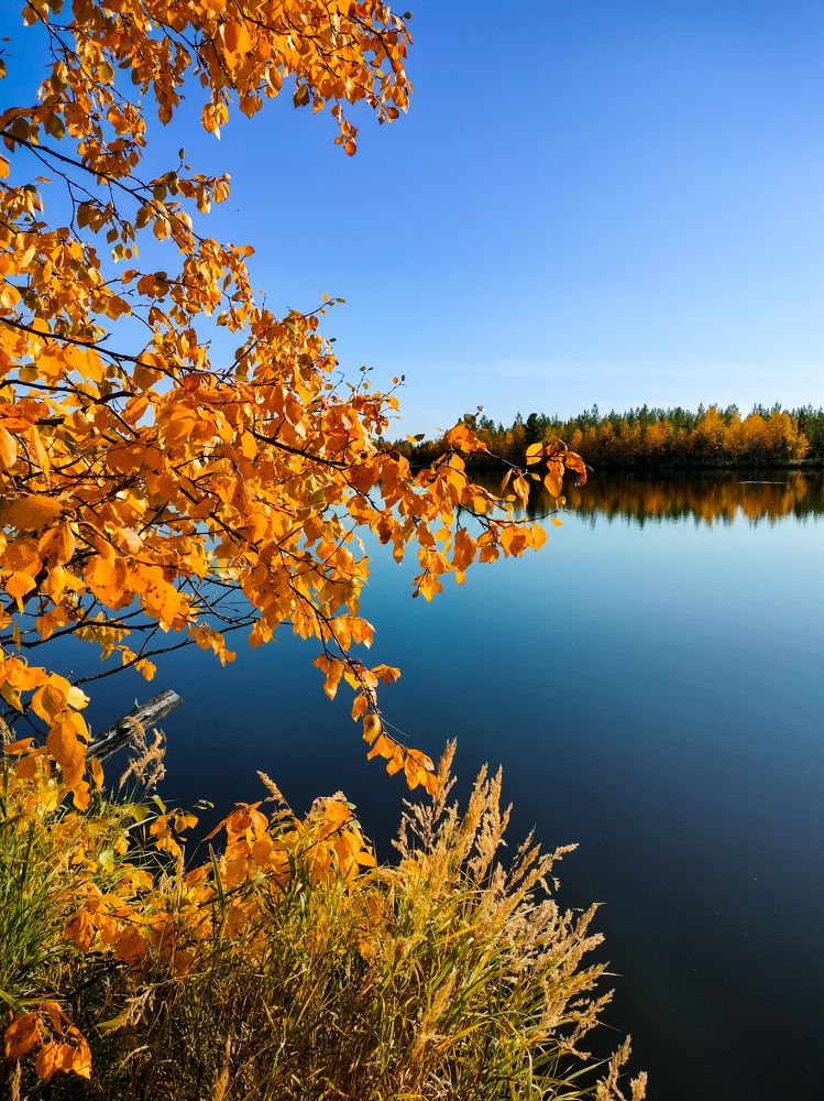 Photograph by Татьяна Небрат