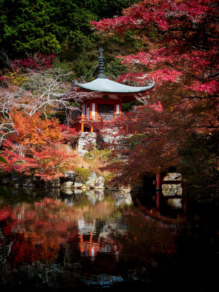 Фотография автора jc tan