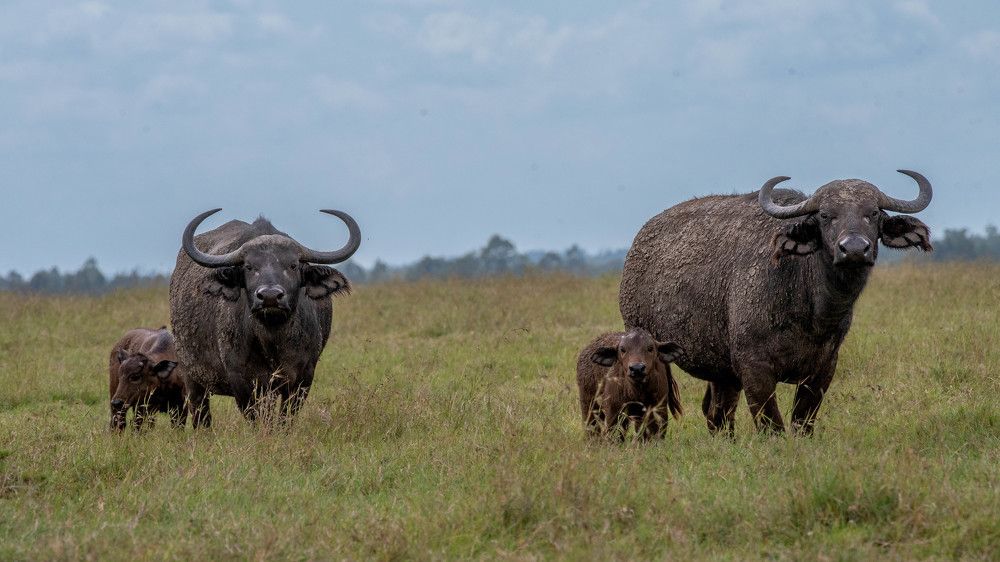 Photograph by Kevin kosgei