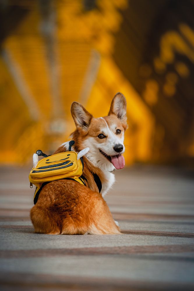 Photograph by Татьяна Степанова