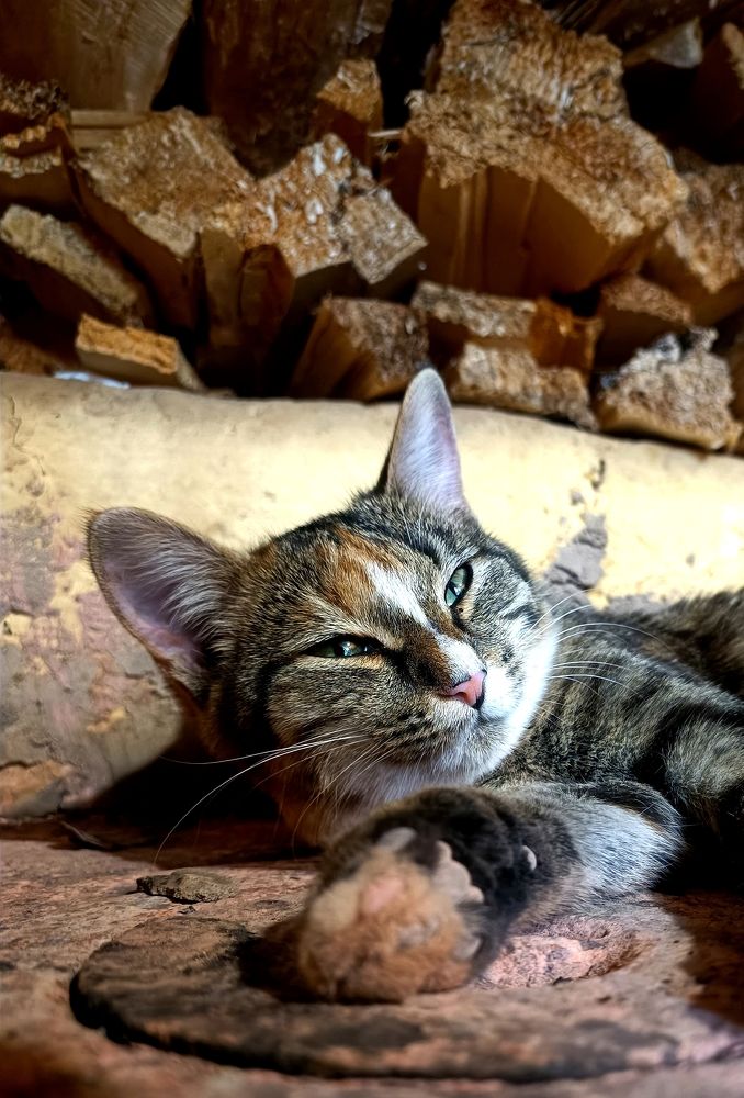 Photograph by Полина