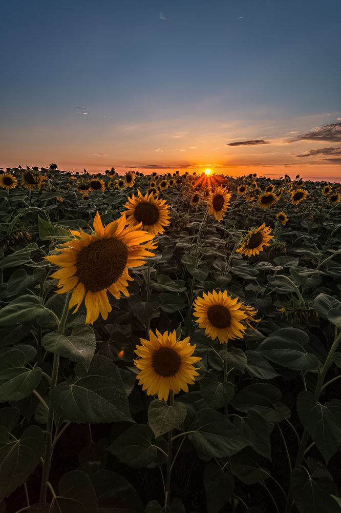 Photograph by Филипп Бабенко