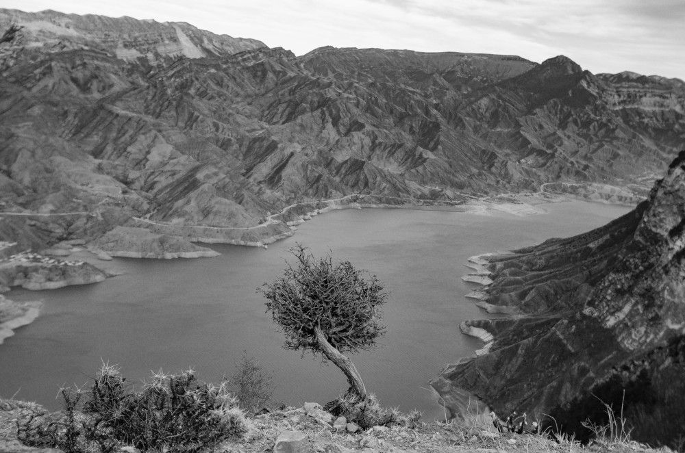 Photograph by Инна Гаджиева