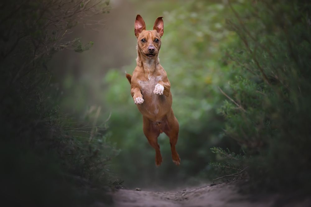 Photograph by Rut Casanellas