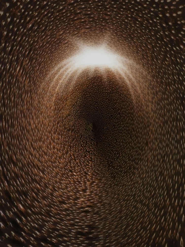 Фотография автора Juli Vvelentini