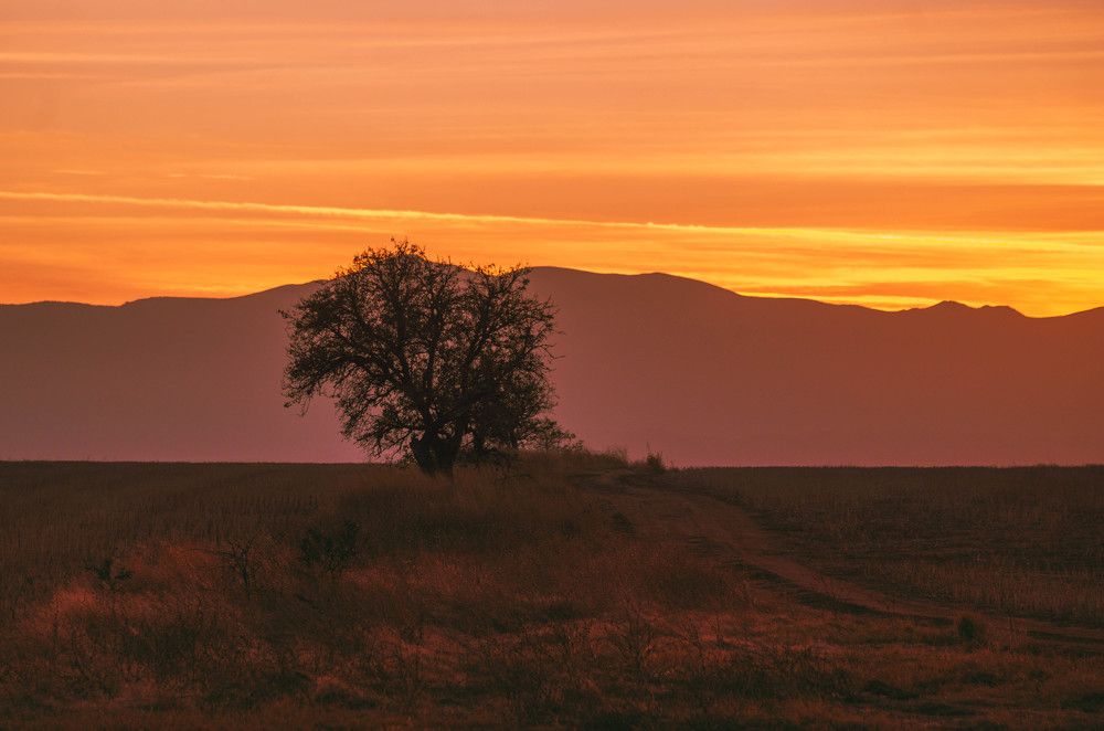 Photograph by Николов Андриян