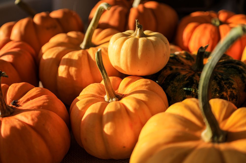 Photograph by Дарья Целуйко