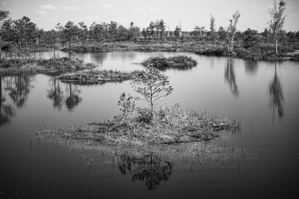 Фотография автора Aliaksandr Shautsou