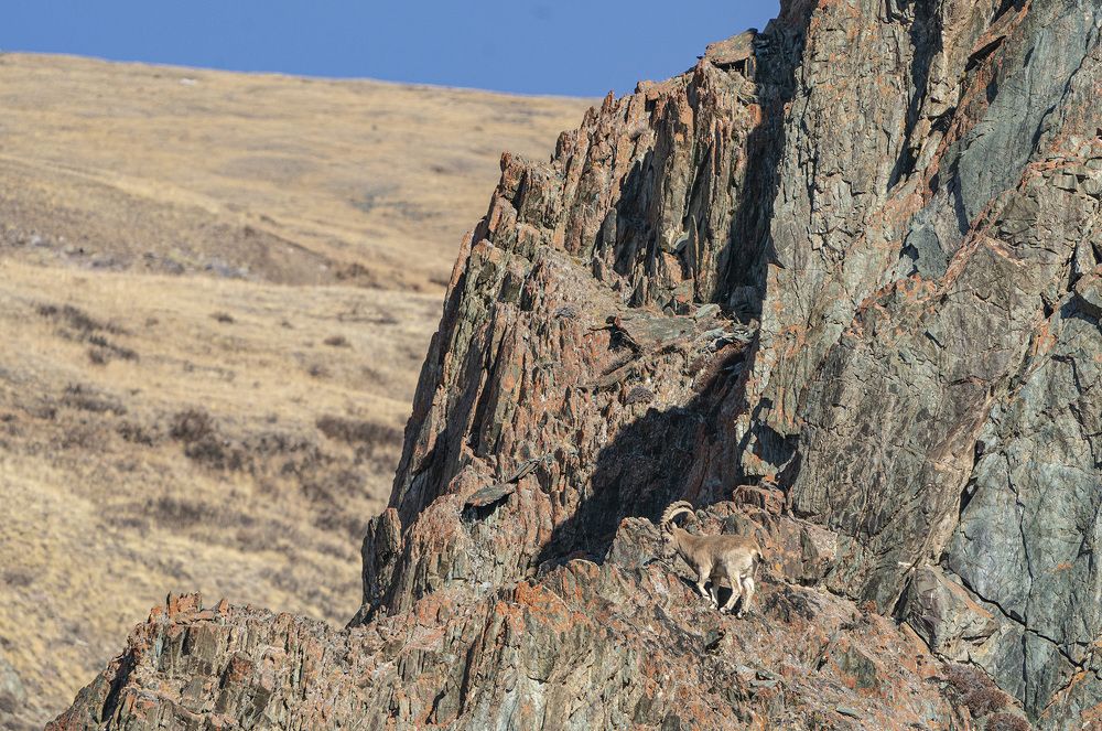 Photograph by Алексей Романов