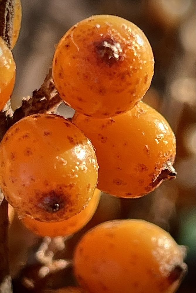 Photograph by Nadya Sterligova