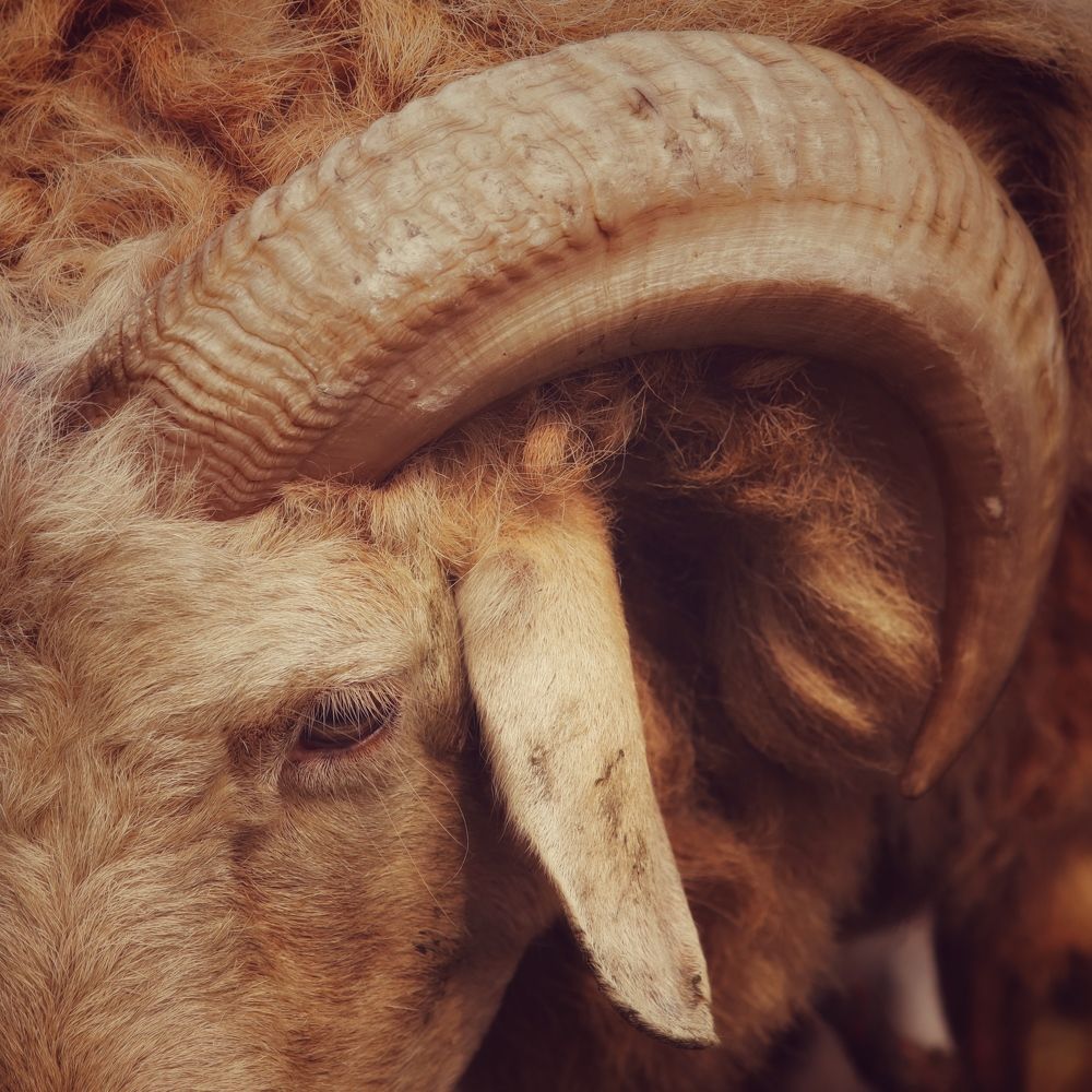 Фотография автора Washiful Majid