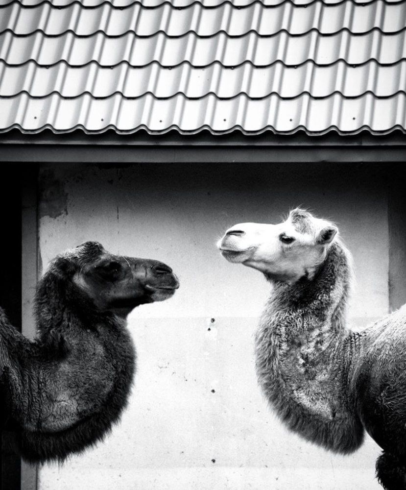 Photograph by Софъя Иск