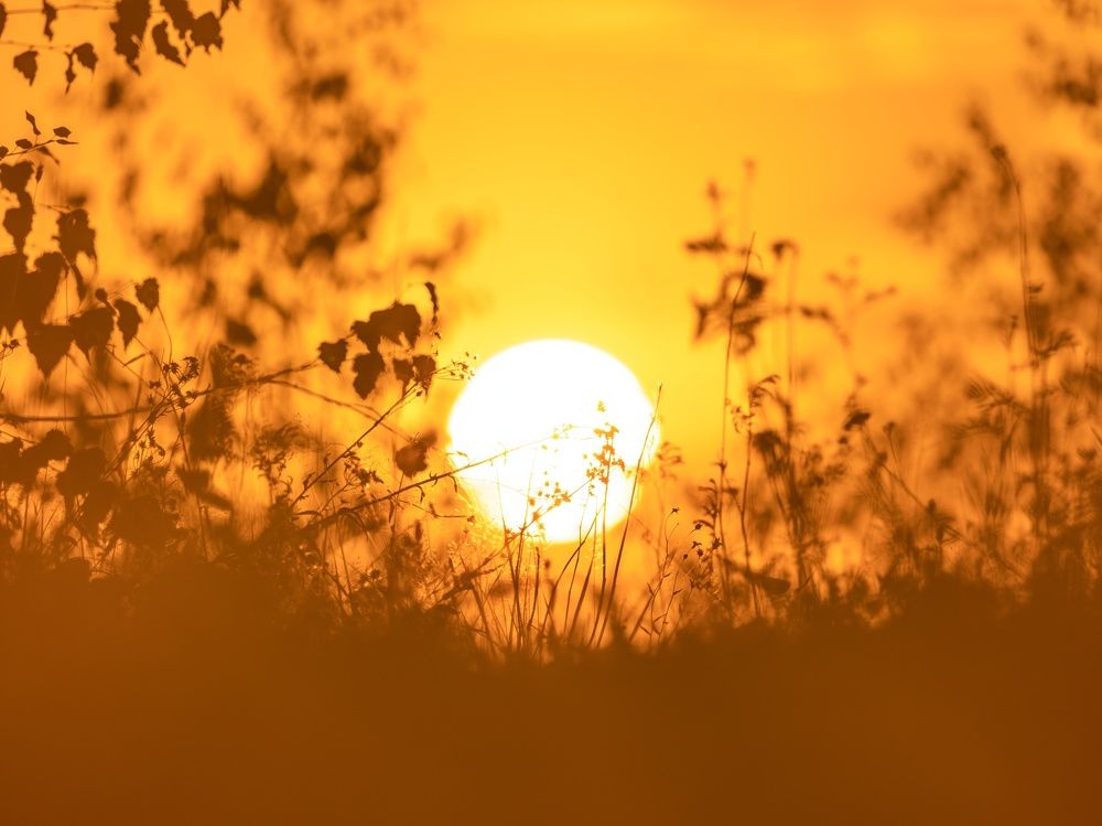 Photograph by Хабаров Сергей