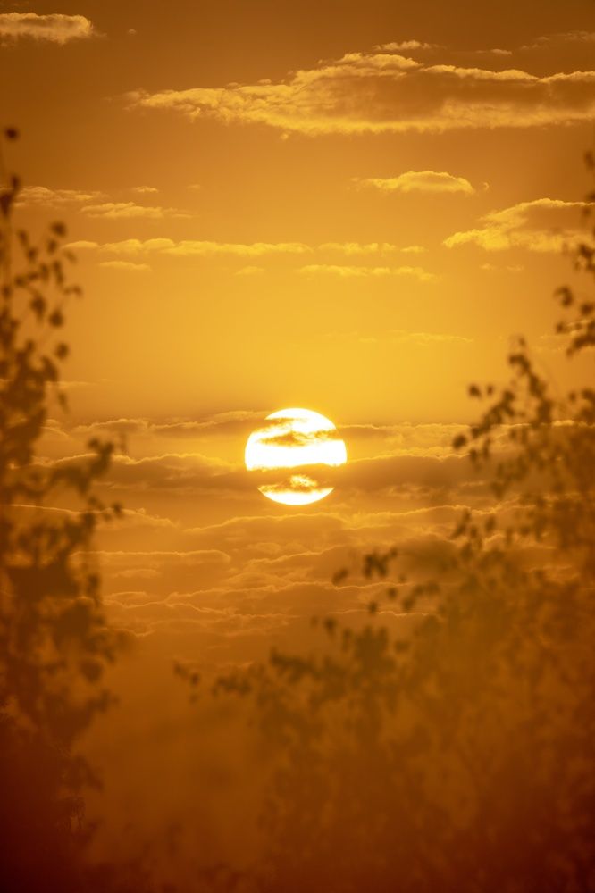 Photograph by Хабаров Сергей