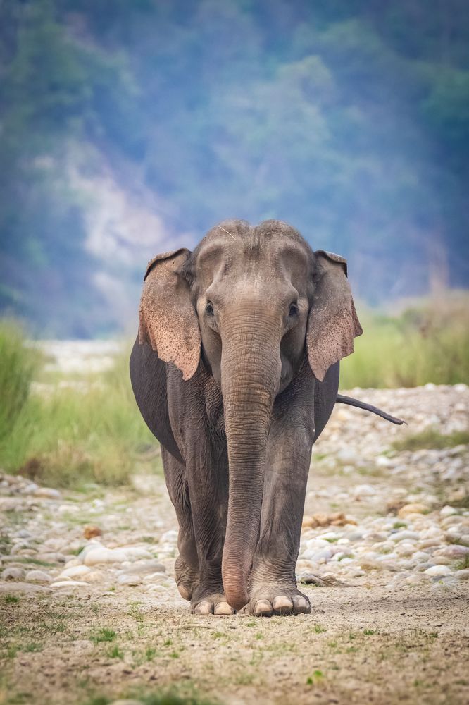 Photograph by Shalini Jain