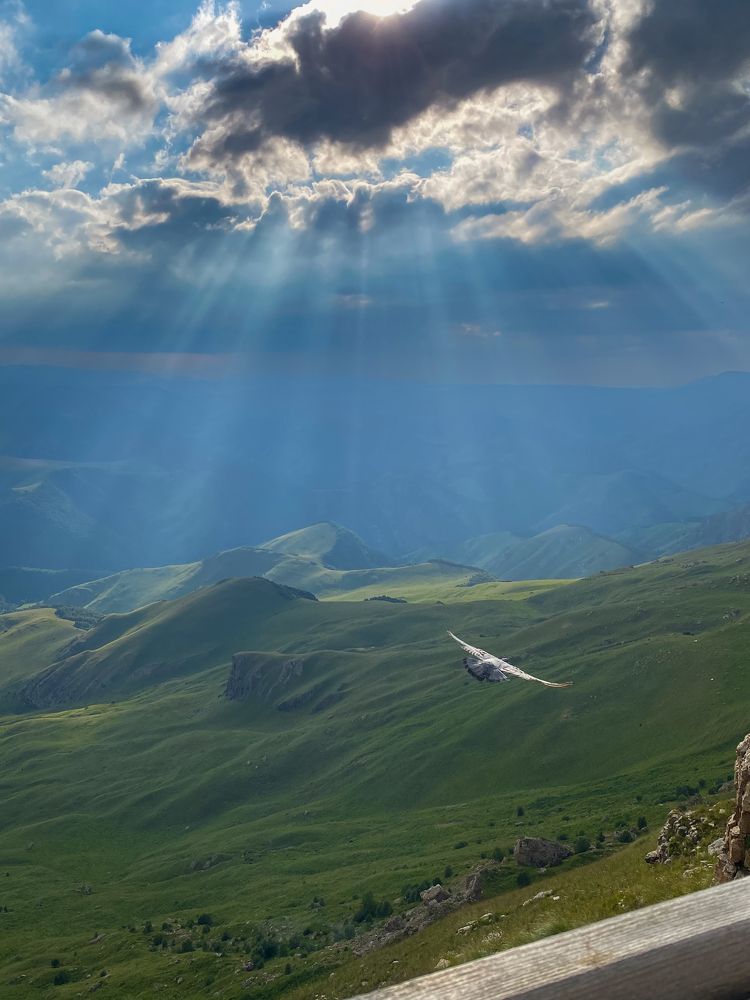 Photograph by Светлана Карнаух