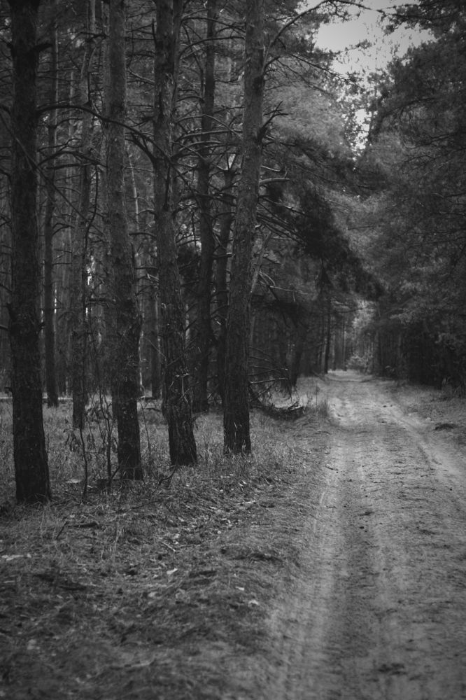 Photograph by АЛЛА ТАРАСЕНКО