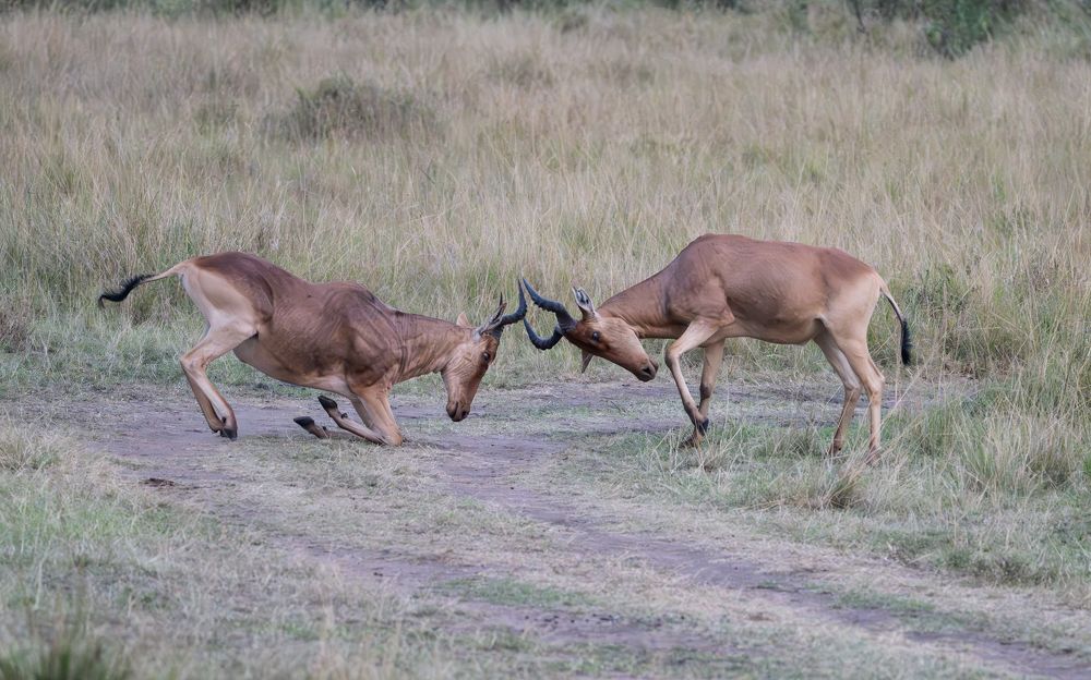 Photograph by Shobhit chawla