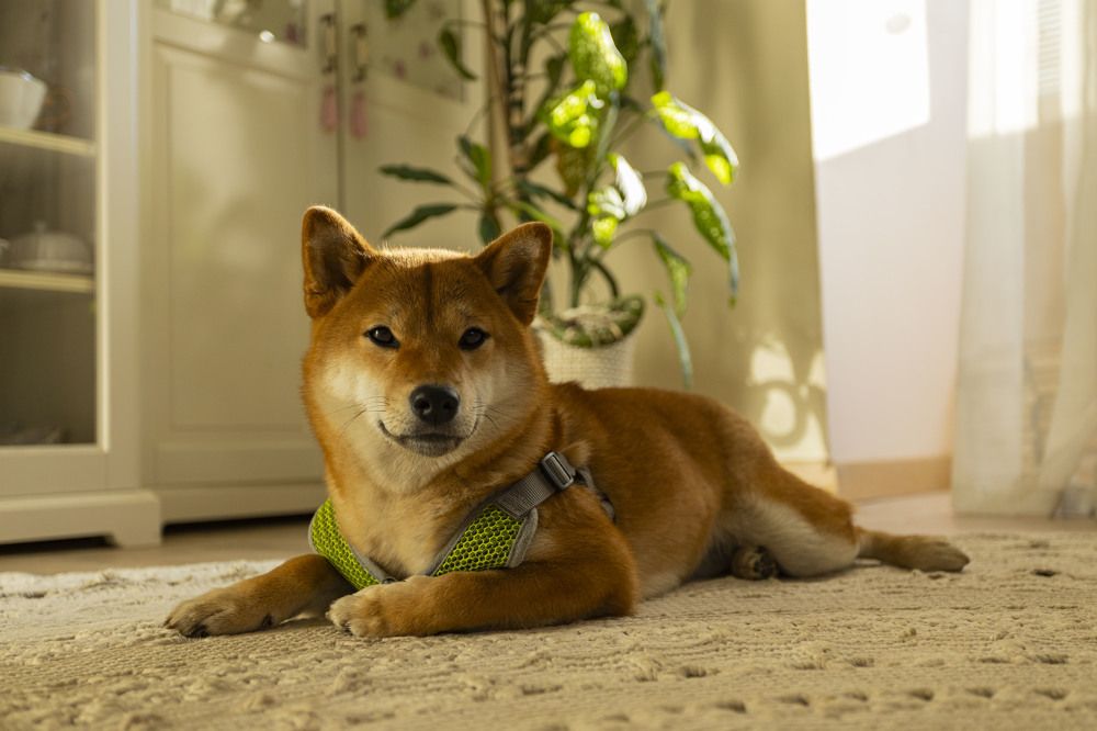 Photograph by Владислав Капанов