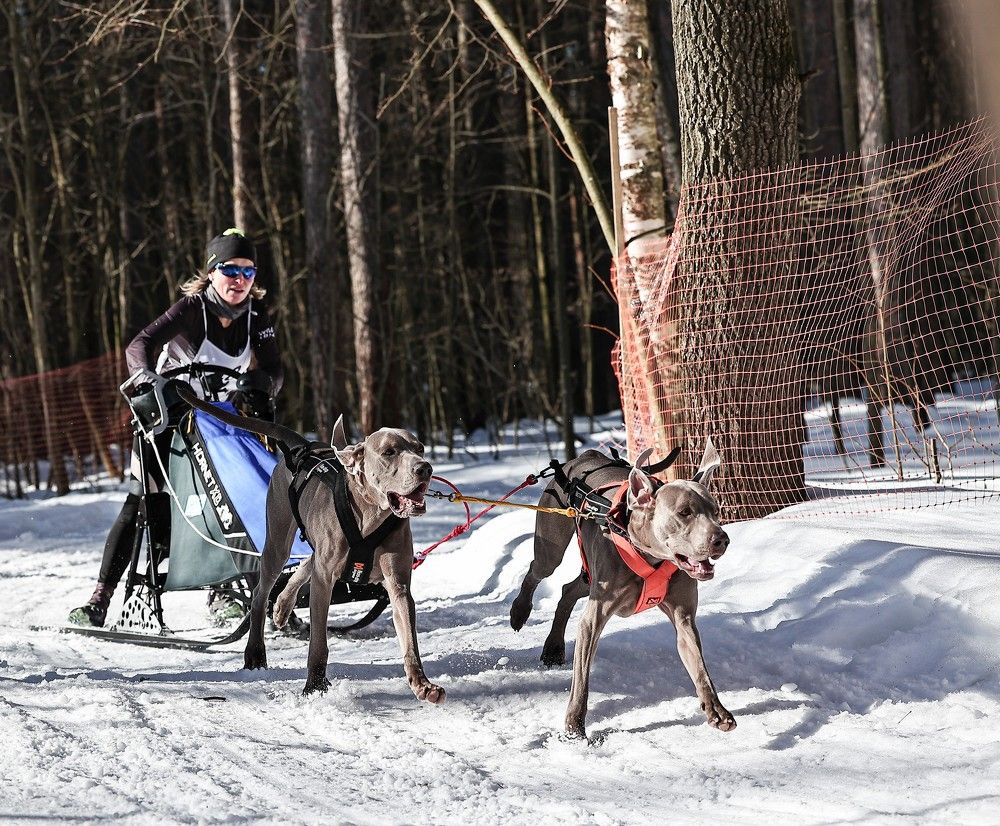 Photograph by Елена Одынец