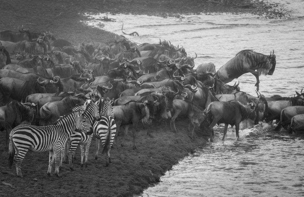 Photograph by Shobhit chawla