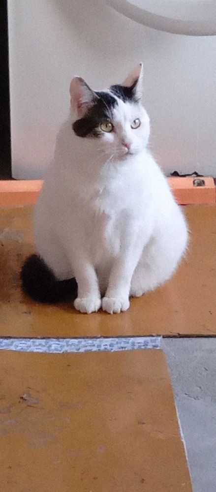 Photo #11502123