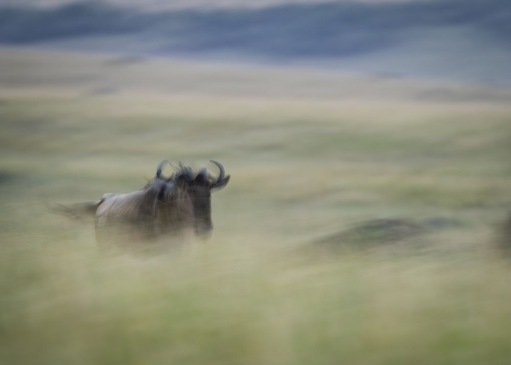 Photograph by Shobhit chawla