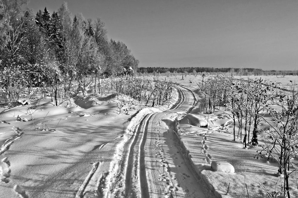 Photograph by Валерий Клейменов
