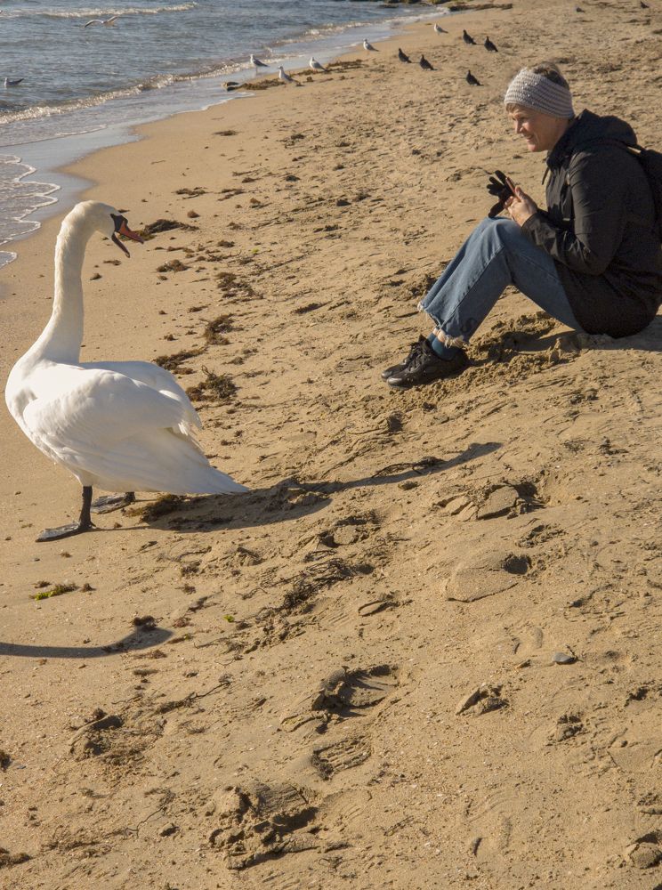 Photograph by ELENA KRYLOVA