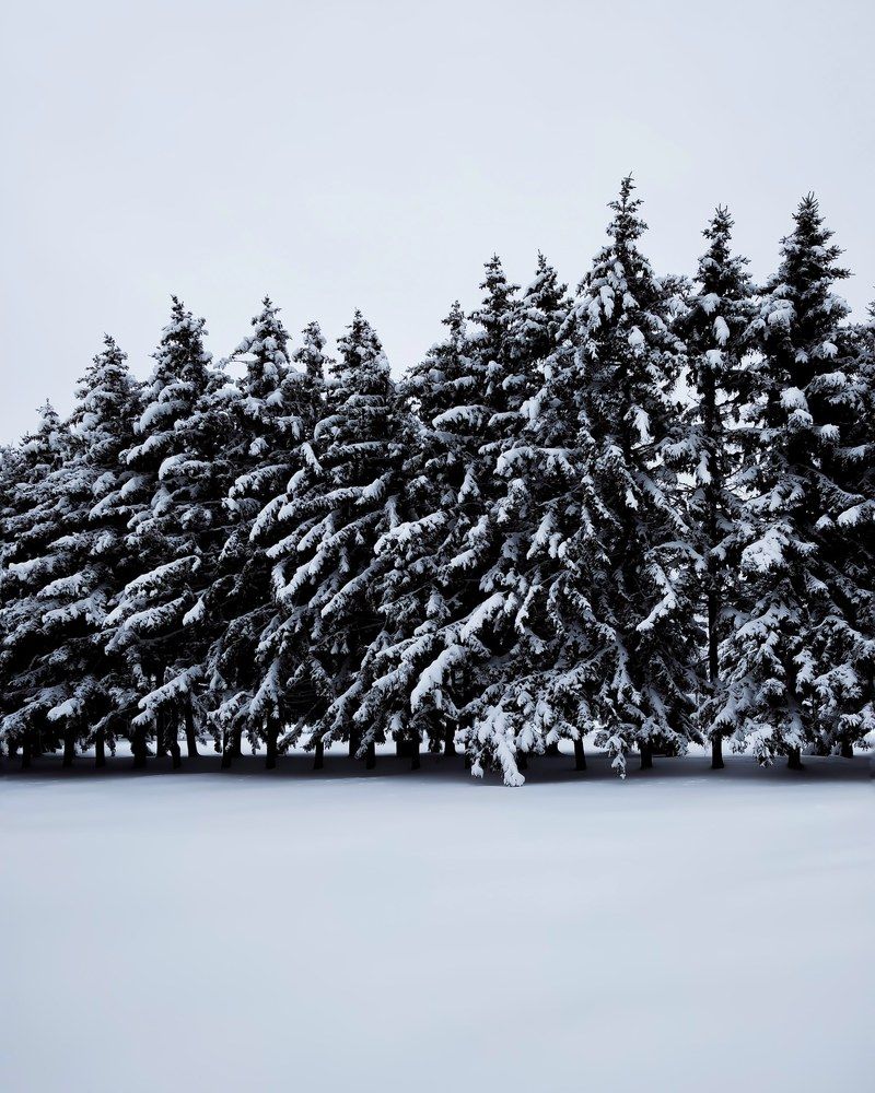 Photograph by Елена Копытова